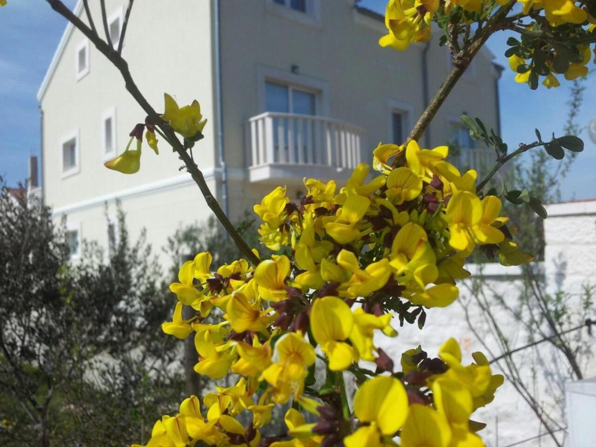 Villa Bachelor Vodice Extérieur photo